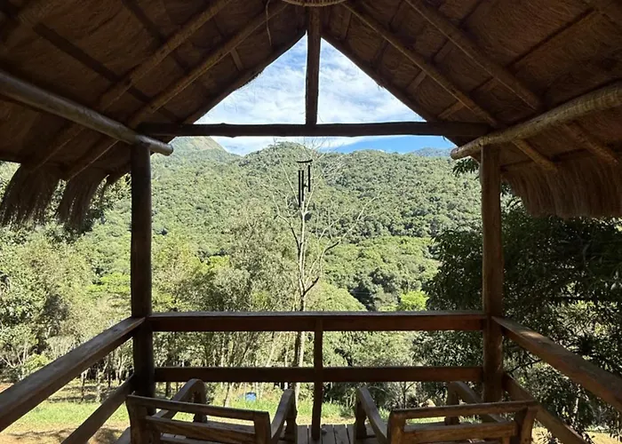 Meu Limao Meu Limoeiro