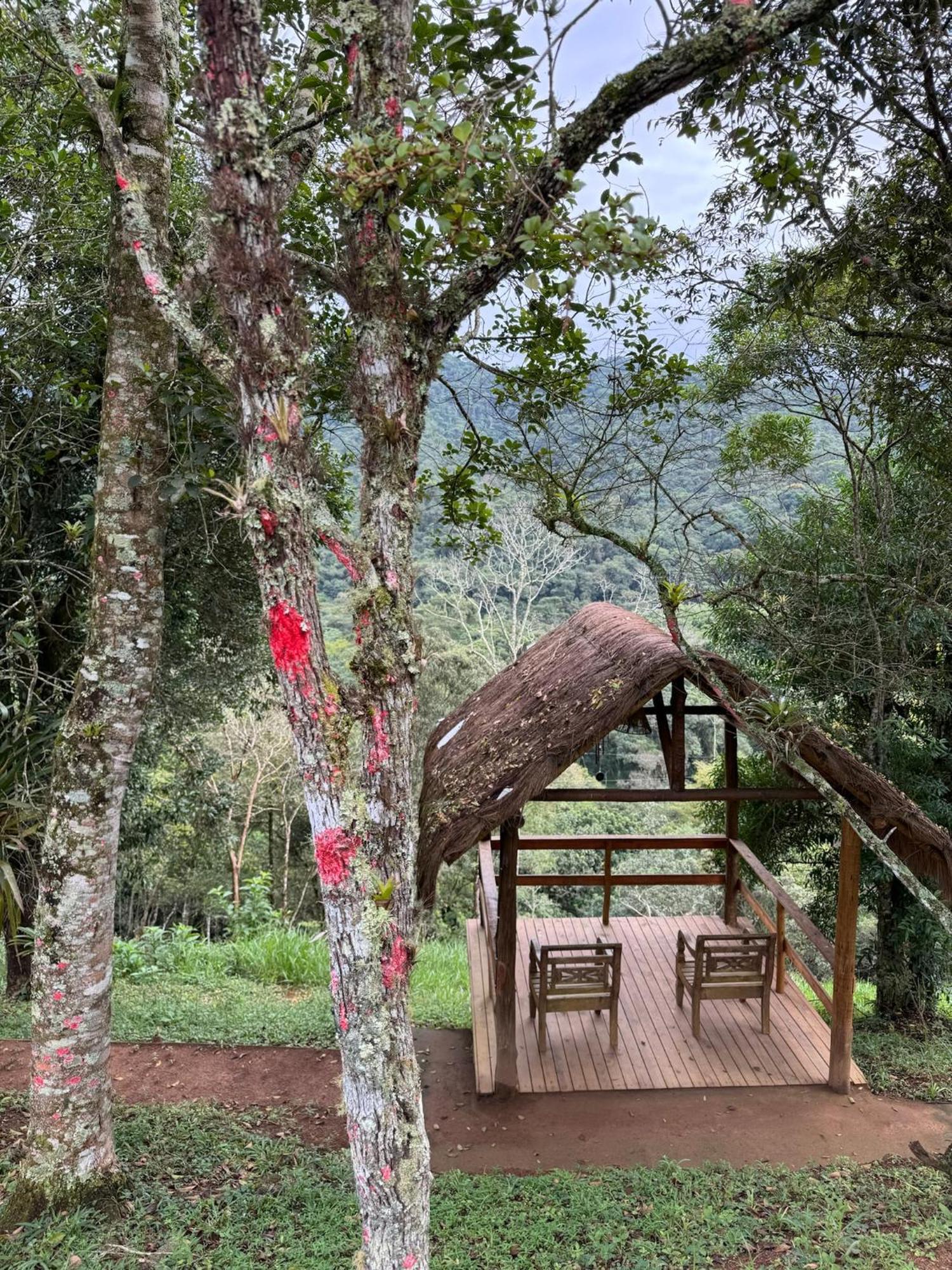 Lodge Meu Limao Meu Limoeiro